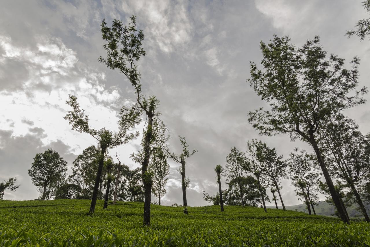 Mount Valley Resort - A Secluded Getaway Munnar Exterior foto