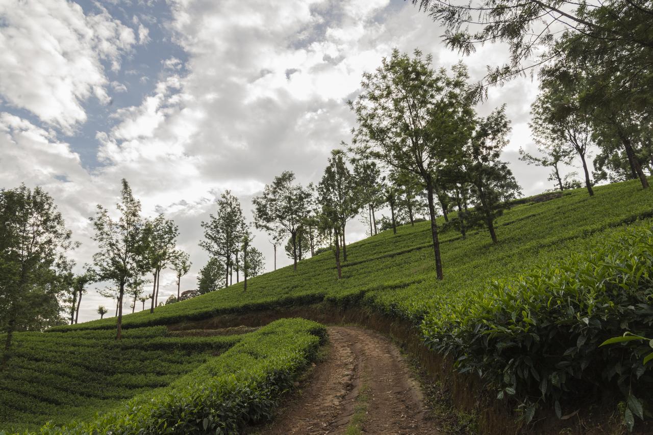 Mount Valley Resort - A Secluded Getaway Munnar Exterior foto